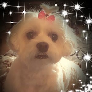 Meet your Posher, Pamela